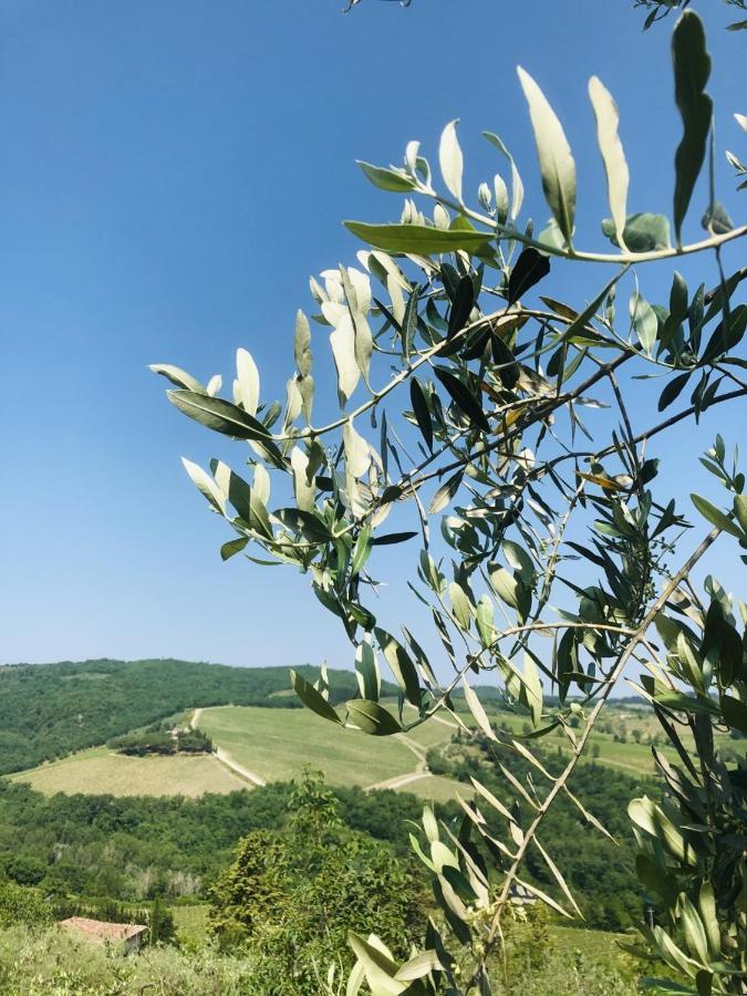 Mea Casa Toscana Castellina in Chianti Luaran gambar