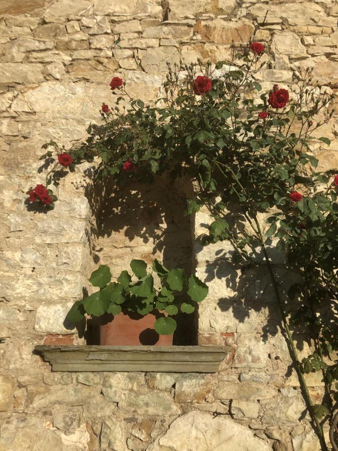 Mea Casa Toscana Castellina in Chianti Luaran gambar