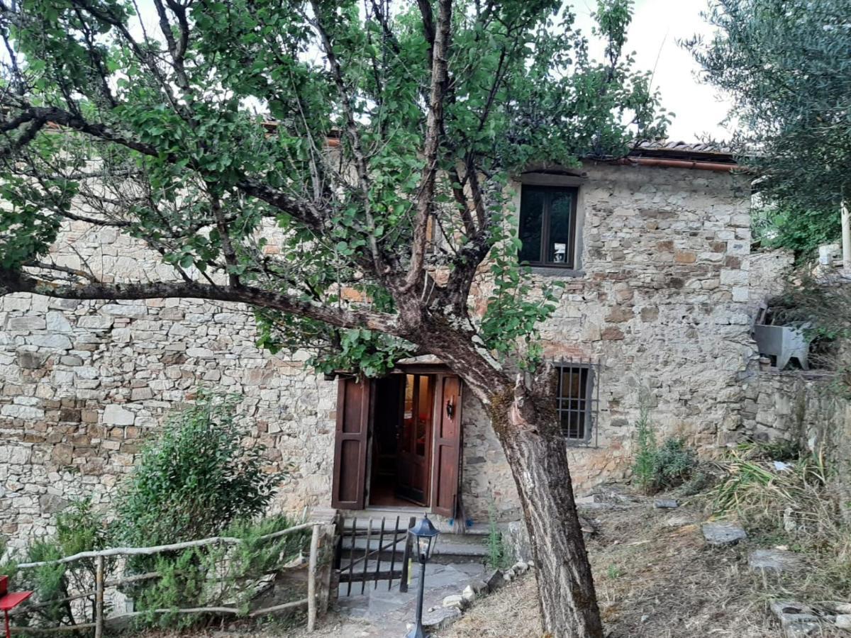 Mea Casa Toscana Castellina in Chianti Luaran gambar
